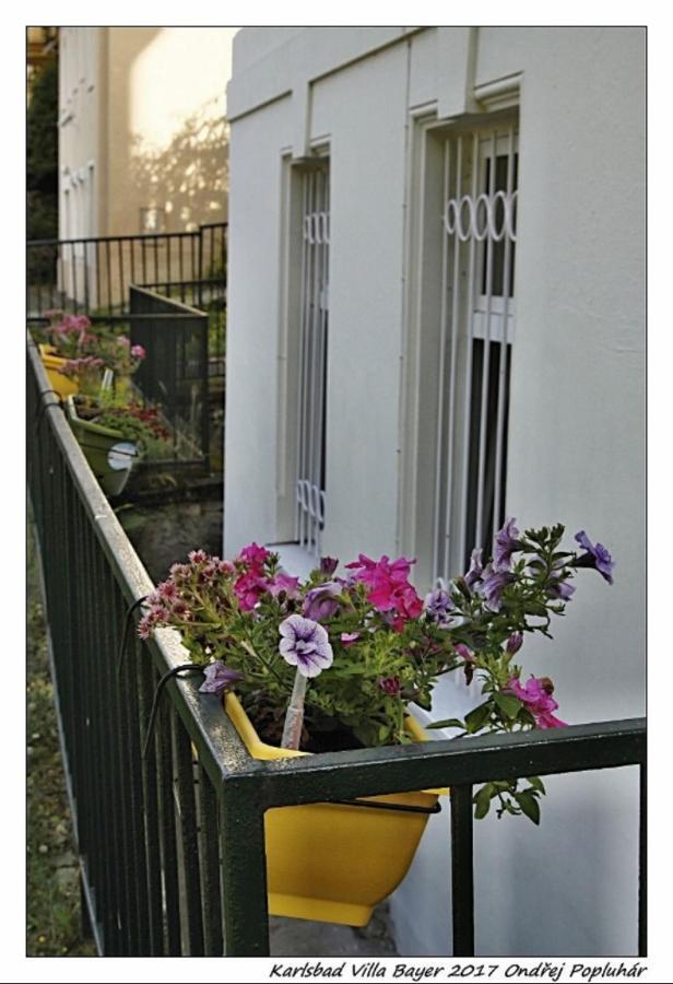Apartman Vila Bayer Karlsbad Buitenkant foto