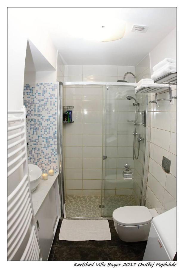 Apartman Vila Bayer Karlsbad Buitenkant foto