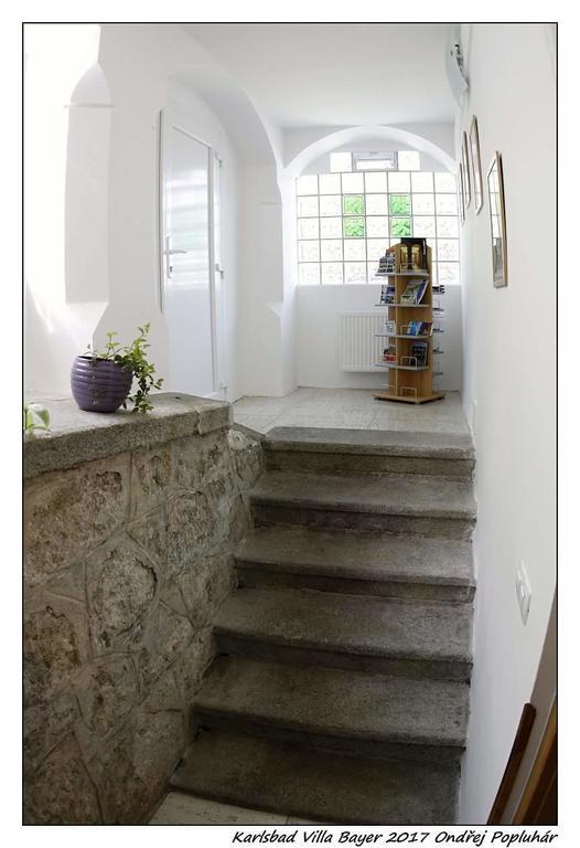 Apartman Vila Bayer Karlsbad Buitenkant foto
