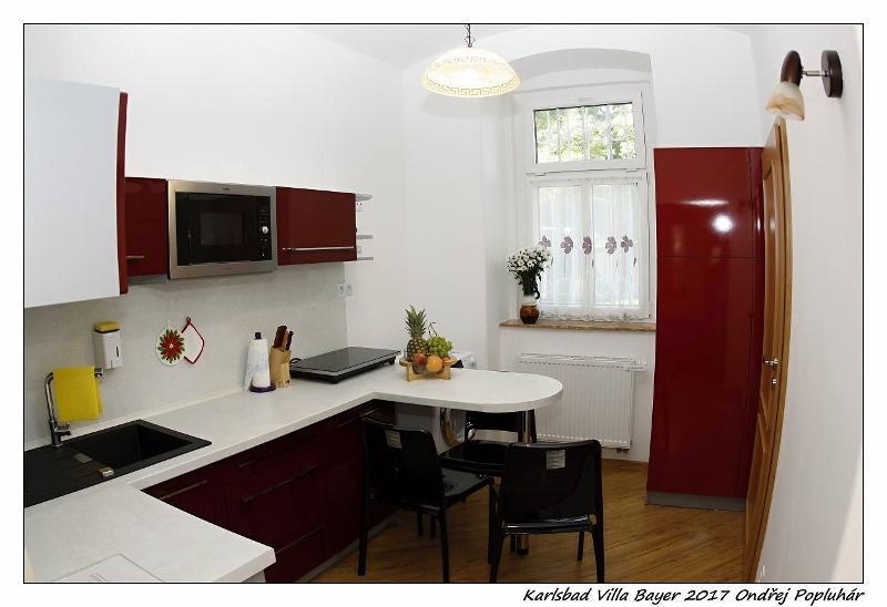 Apartman Vila Bayer Karlsbad Buitenkant foto