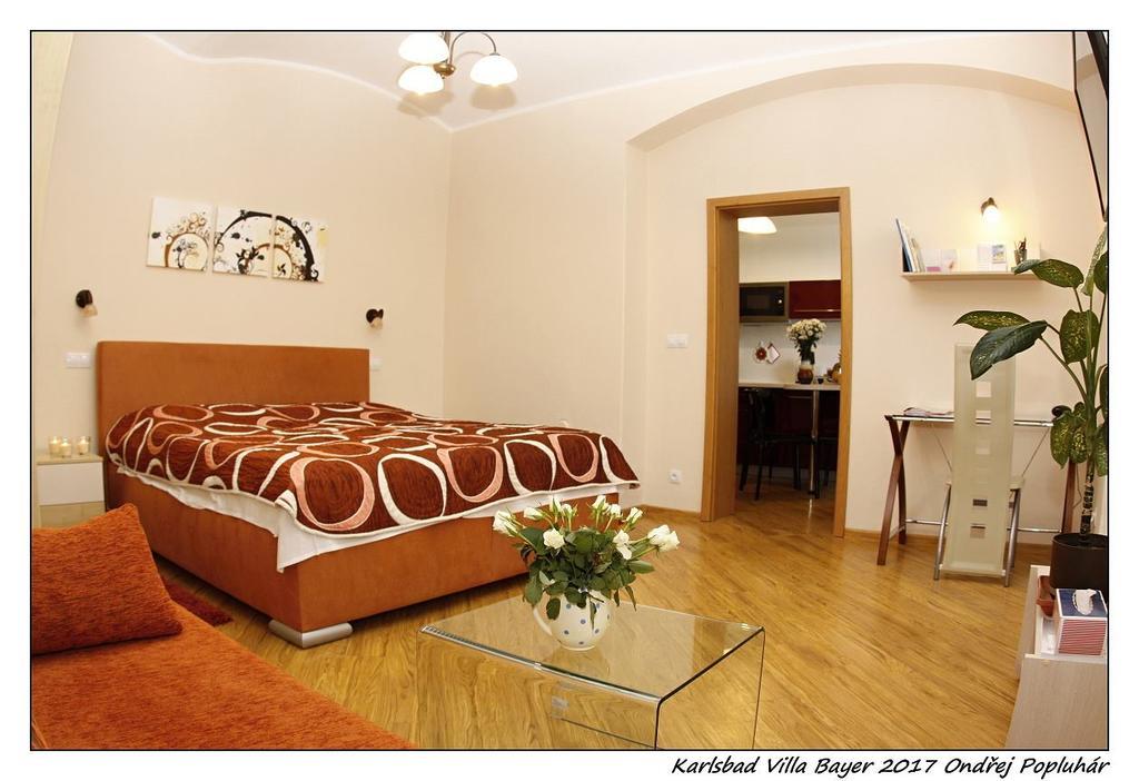 Apartman Vila Bayer Karlsbad Buitenkant foto